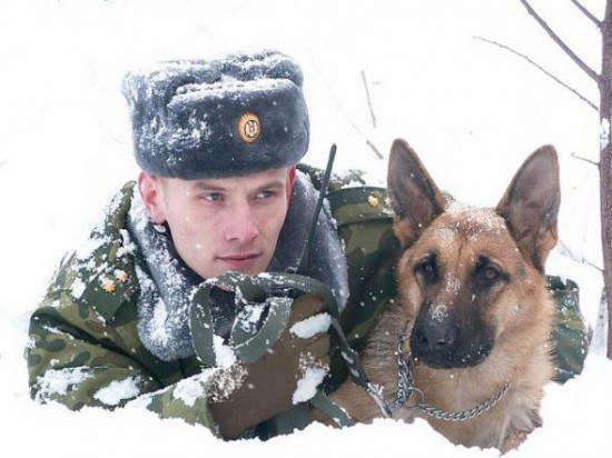 Як привітати батька з Днем прикордонника